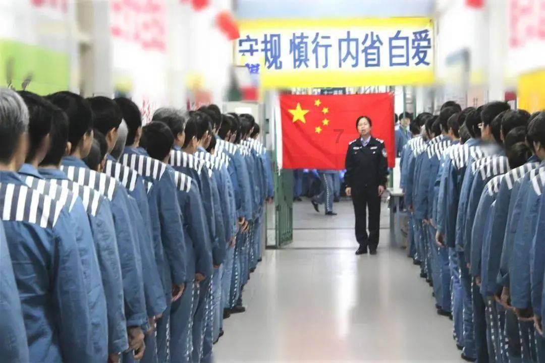 逃离野鸡森林